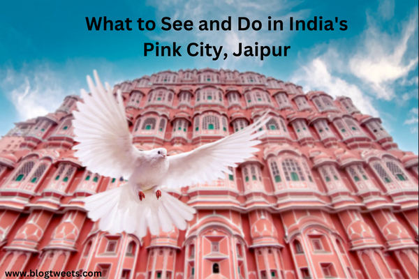 What to See and Do in India’s Pink City, Jaipur