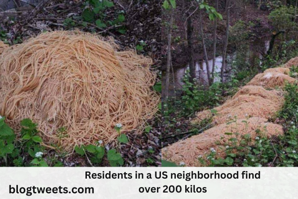 Residents in a US neighborhood find over 200 kilos of cooked pasta placed there and ask why